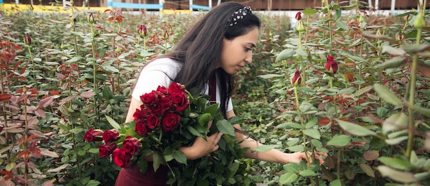 Trabajador de invernadero de flores recogiendo rosas