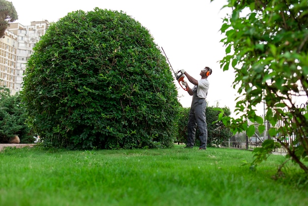 Trabajador de jardín en uniforme corta arbustos hombre afroamericano con auriculares trabaja en el jardín