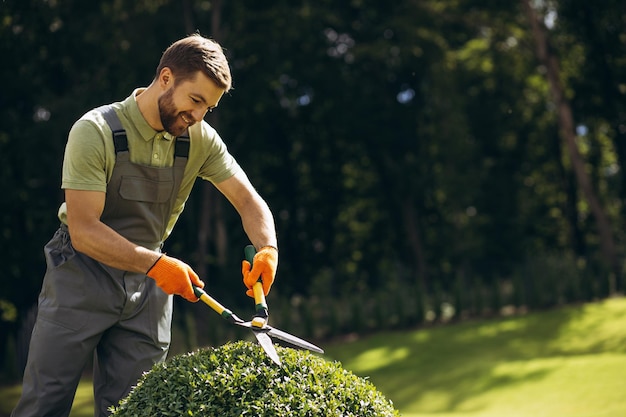 Trabajador de jardinería podando árboles con tijeras en el patio