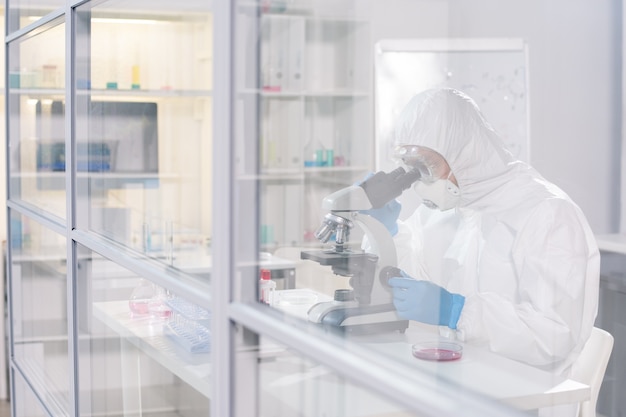 Trabajador de laboratorio en ropa de trabajo protectora sentado en un laboratorio científico y mirando en el microscopio mientras estudia virus y antídotos