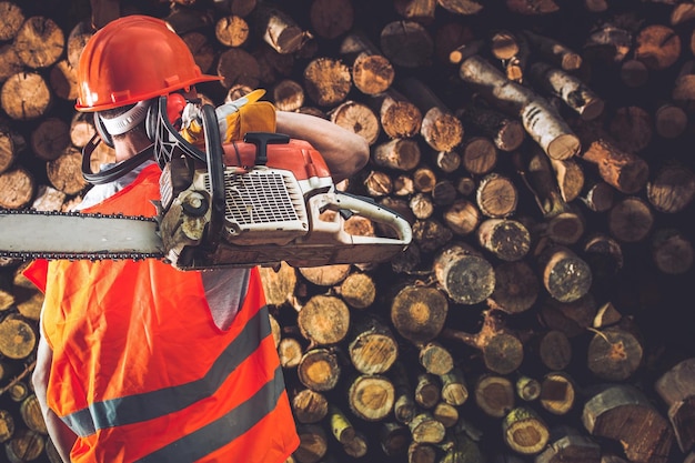 Trabajador profesional de la madera