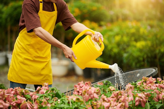 Trabajador regando plantas y flores