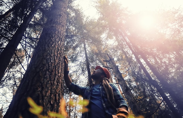 Trabajador de sexo masculino con un hacha cortando un árbol en el bosque.