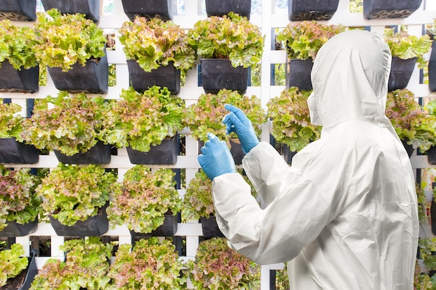 El trabajador usa un traje de protección médica o un mono blanco en las plantas elevadas del sistema inteligente de granjas interiores