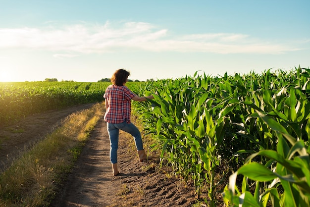 Trabajadora agrícola caucásica de mediana edad con tableta inspeccionando tallos de maíz en el campo