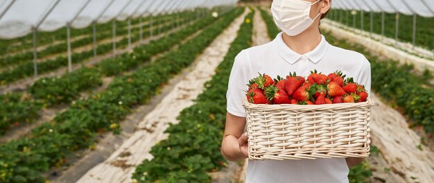 Trabajadora de campo femenina sosteniendo la cesta con fresas