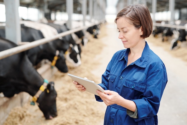 Trabajadora joven seria de la granja de animales en uniforme usando el panel táctil para encontrar información sobre la nueva raza de vacas lecheras