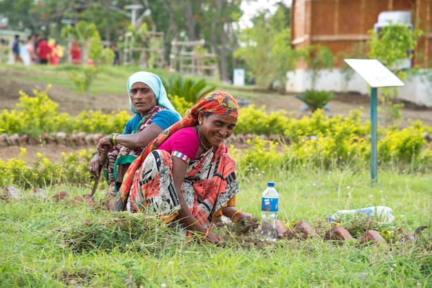 Trabajadoras cortando césped no deseado del campo del jardín