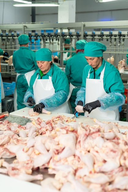 Trabajadores en una fábrica, uno con delantal verde y el otro con delantal blanco.