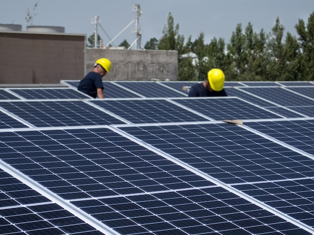 Foto trabajadores en granja solar