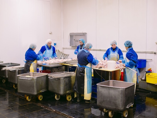 Trabajadores que trabajan en una planta de carne de pollo.