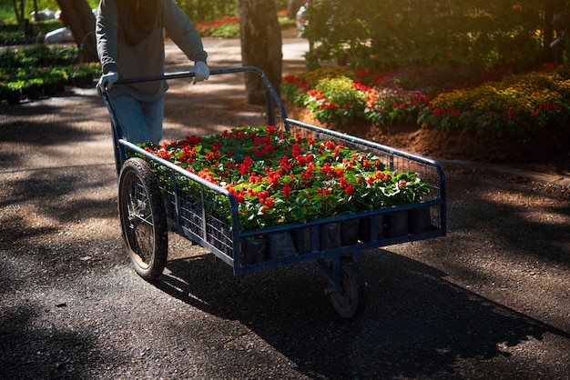 Foto trabajadores trabajando en el jardín de flores.