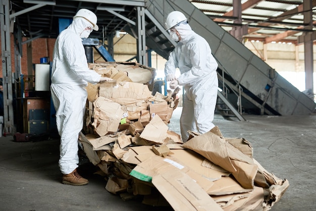 Trabajadores en trajes peligrosos que clasifican el cartón en la fábrica moderna