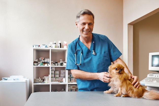 Trabajando con animales veterinario de mediana edad positivo acariciando un perro pequeño y lindo antes de hacer el cheque