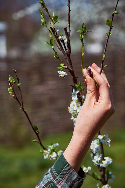 Trabajando en el jardín de primavera