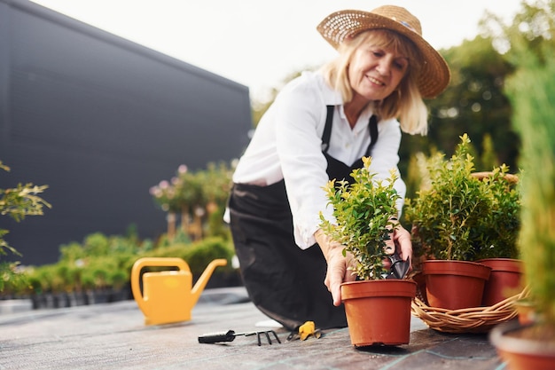 Trabajando con plantas en macetas Mujer mayor está en el jardín durante el día Concepción de plantas y estaciones