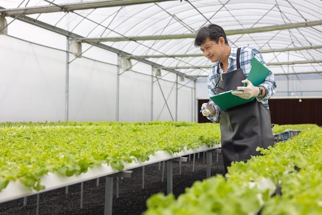 Trabajando en un vivero de invernadero Concepto de negocio agronómico En el invernadero, un anciano está trabajando En la hidrogranja