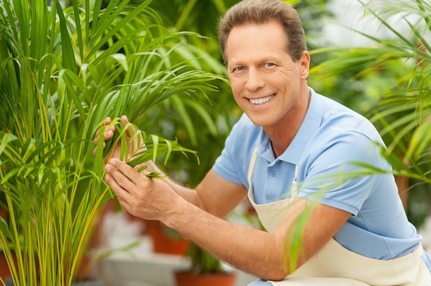 Trabajar con plantas es un gran placer. Hombre maduro guapo en uniforme de rodillas cerca de las plantas en macetas y sonriendo