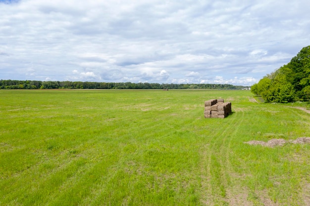 trabajo agrícola granja campo vista superior tiro con drones