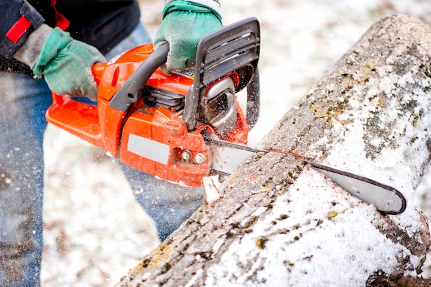 Trabalhador adulto cortando árvores com motosserra e ferramentas