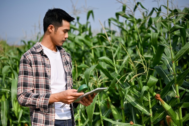 Trabalhador agrícola inteligente usando tablet digital para acompanhar o processo de plantio de milho