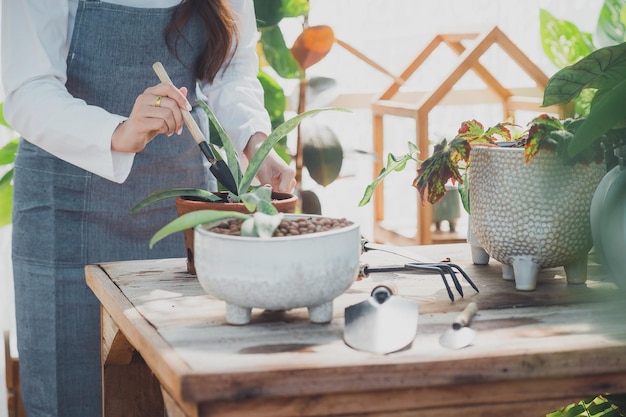 Trabalhador de berçário novo em estufa. Jardinagem em casa, amor pelas plantas e cuidado. Pequenos negócios.