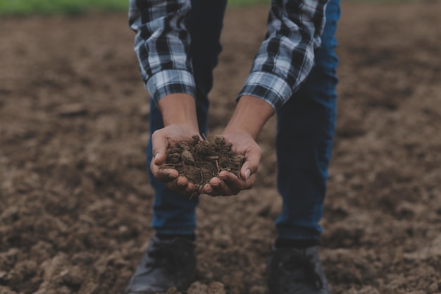 Trabalhador de fazenda orgânica testa e coleta dados ambientais de vegetais orgânicos bok choy no jardim da fazenda com efeito de estufa