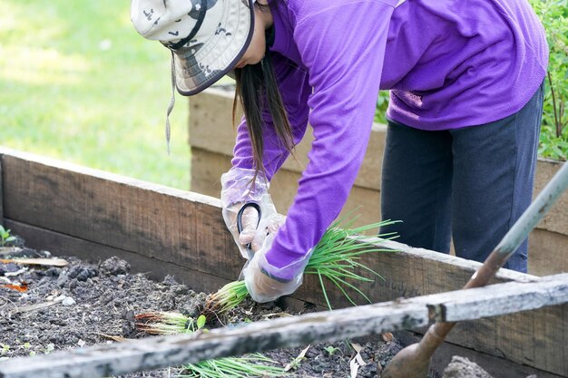 Trabalhador de graden cuidando da planta no jardim.