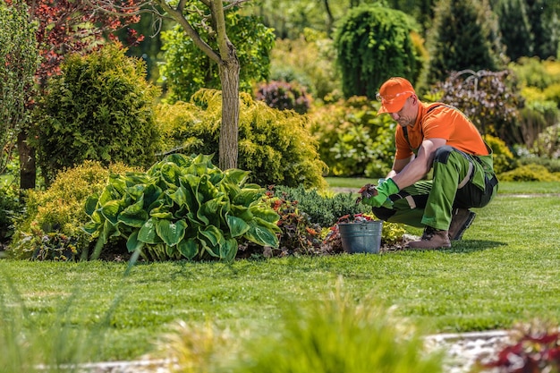 Foto trabalhador de jardim profissional