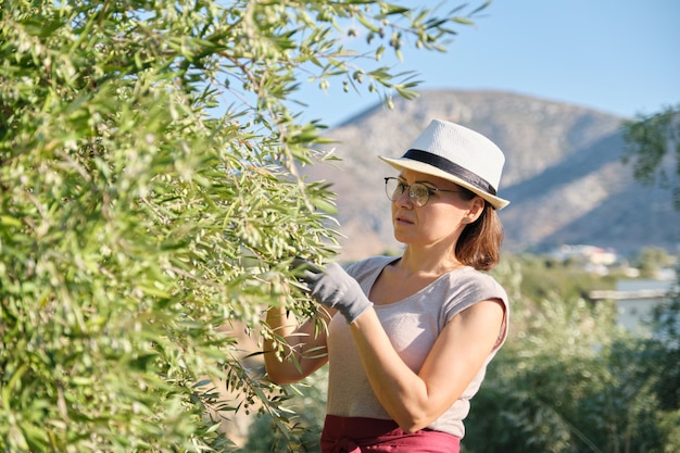 Trabalhador de mulher inspecionando oliveiras nas montanhas