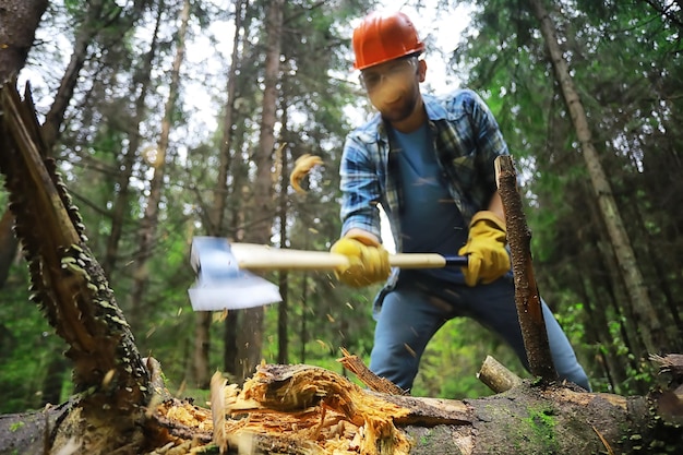 Trabalhador do sexo masculino com um machado cortando uma árvore na floresta.