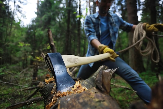 Trabalhador do sexo masculino com um machado cortando uma árvore na floresta.