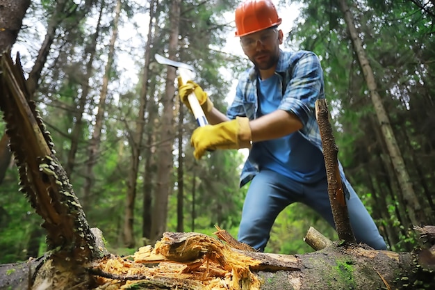 Trabalhador do sexo masculino com um machado cortando uma árvore na floresta.