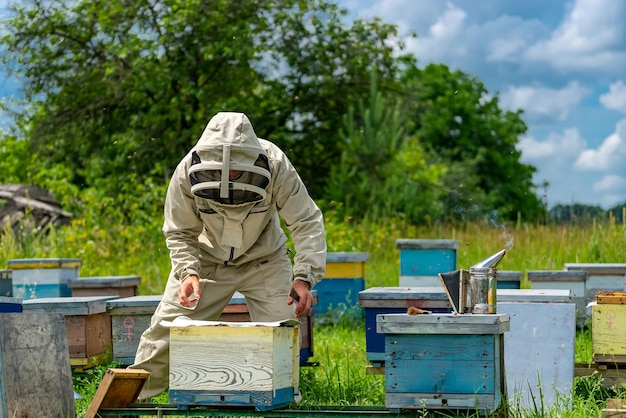 Trabalhador realizando as colmeias de abelhas Agricultor em traje de proteção trabalhando no campo de abelhas