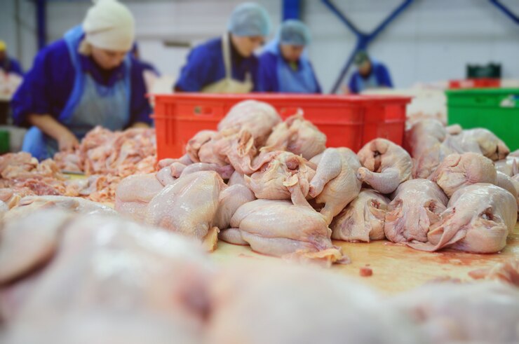 Foto trabalhadores avícolas cortaram uma carcaça de frango.