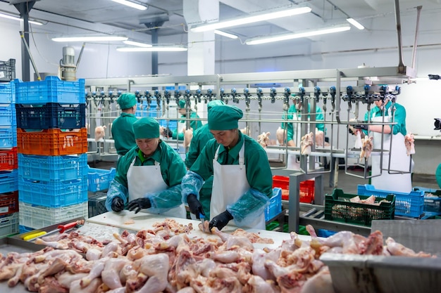 Trabalhadores de uma fábrica com uma grande quantidade de carne de frango na mesa.