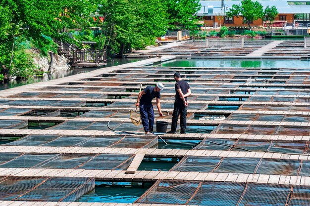 Trabalhadores de uma piscicultura mantêm instalações de aquicultura