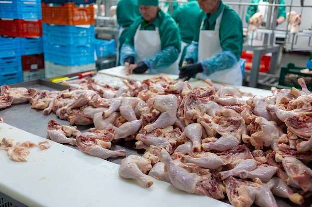 Trabalhadores em uma fábrica com pernas de frango sobre uma mesa.
