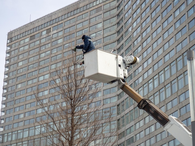 Trabalhadores no elevador aparam a árvore Trabalho do paisagista Aparando o topo de uma árvore Trabalho em altitude