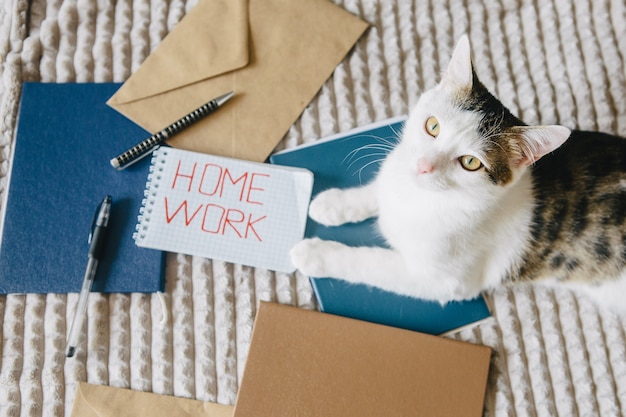 Trabalhe em casa, pastas, envelopes e gatos na cama.