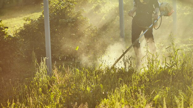 Trabalhe para cortar a aparadora de grama. o processo de cortar grama alta com um aparador. foco seletivo em tawa sem cortes e dispersar partículas de grama cortada. as luzes da noite abrem caminho através do nevoeiro