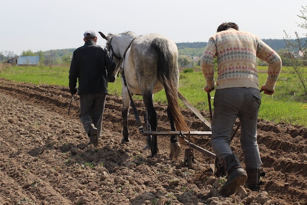 Trabalho árduo no campo. As pessoas aram o campo.