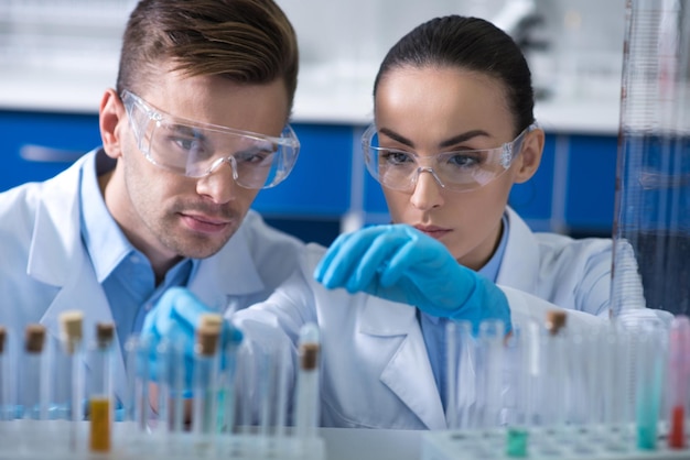 Trabalho cauteloso Dois jovens cientistas de perspectiva agradável em óculos e luvas de borracha sentados e trabalhando no laboratório com os frascos e focando no trabalho