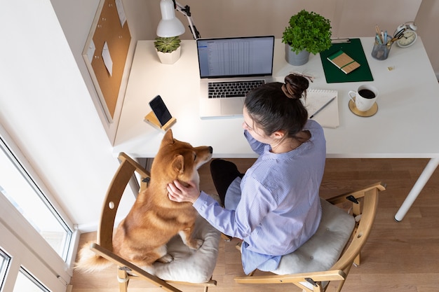 Trabalho doméstico durante a quarentena. Pandemia do coronavírus. Local de trabalho de home office com uma mulher e um lindo cachorro Shiba inu