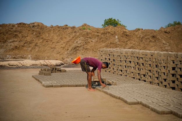 Trabalho indiano trabalhando na fábrica de tijolos