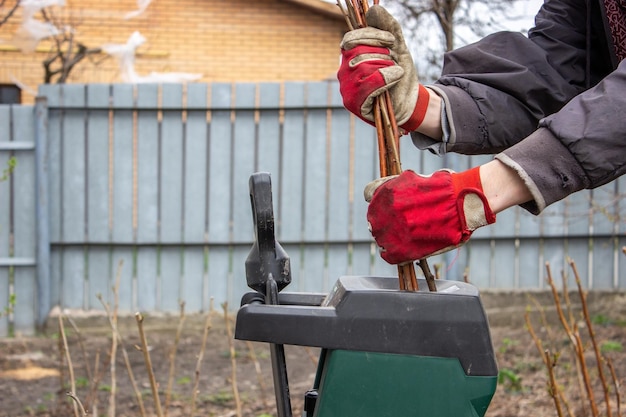 Trabalho no jardim Homem cortando e esmagando galhos de árvores e arbustos de bagas