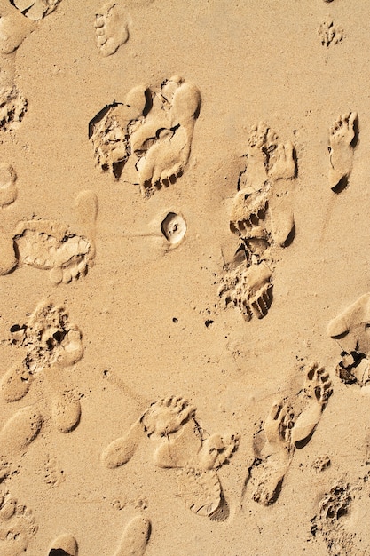 Traços de pernas em fundo de areia. praia de verão.