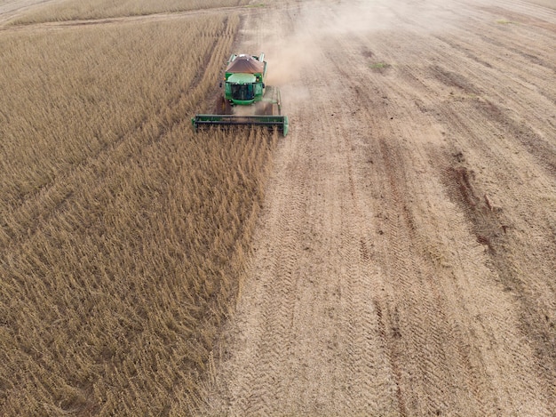 Tractor agrícola cosechando soja en el campo.