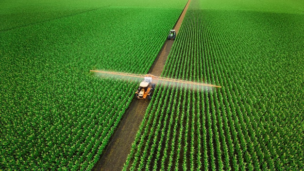 Tractor agrícola rociando fertilizante en campos de maíz Tecnología concepto de granja inteligente 3d render