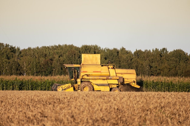 Foto un tractor amarillo está en un campo con un fondo de cielo